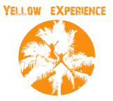 Your experience is better with Yellow Experience, learn English with us in California, Hawaii, Miami